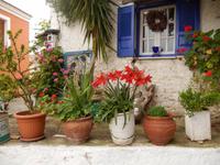 Beim Spaziergang durch Afionas