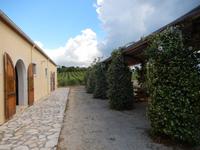 Weingut Triklino im Süden von Korfu