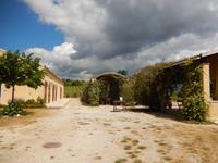 Weingut Triklino im Süden von Korfu
