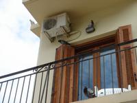 Tauben, Technik, Balkon