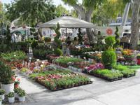 Blumenmarkt in Heraklion