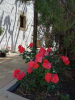 Tag 2: Kloster Toplou