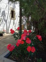 Tag 2: Kloster Toplou