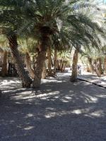 Tag 2: Palmenstrand Vai