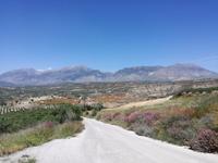 Tag 3: Weingut Zacharioudakis