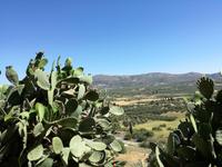 Tag 3: Blick auf die Messara Ebene