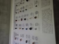 065 Heraklion Archäologisches Museum