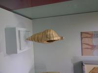 084 Heraklion Archäologisches Museum