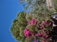 154 Palast von Festos