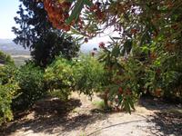 156 Palast von Festos