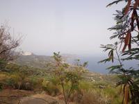 208 Kaffeestop in Sitia