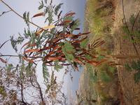 210 Kaffeestop in Sitia