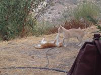 212 Kaffeestop in Sitia