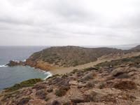 225 Palmenstrand Vai