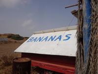 230 Palmenstrand Vai