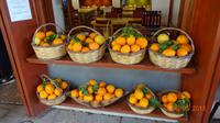 Orangen auf Kreta