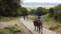 Eselpfad an der Dikti Grotte