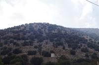 Lassithi - Hochebene