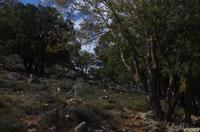 Weg zur Diktäischen Höhle