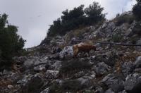 Weg zur Diktäischen Höhle