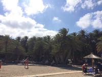 Palmenstrand von Vai