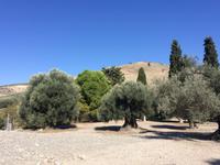 Ausgrabungsstätte in Gortys