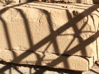 Der älteste dorische Rechtskodex, in Stein gemeißelt