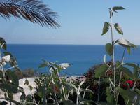 DSCN2876 Blick auf Meer vom Hotel