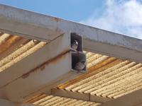 DSCN2886 die wohnen auch da