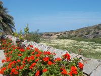 DSCN2940 Kloster Garten