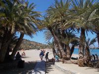 DSCN2945 Palmenstrand