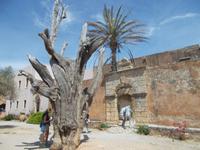 DSCN3002  alter Teil des Klosters