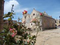 DSCN3003 Rosen mit Klosterkirche
