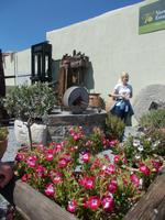 DSCN3126  Oelpresse Gut Vassilakis