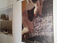 Besuch des Weingutes Zachriaoudakis