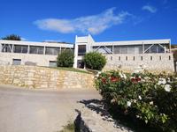 Besuch des Weingutes Zachriaoudakis 