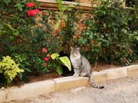 Besichtigung Arkadi Kloster