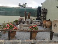 Besuch des Gutes Vassilakis mit Olivenölprobe 