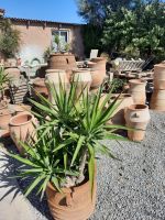 Töpferei in Thrapsano