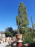 Töpferei in Thrapsano