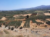 Festos - Blick in die Messara-Ebene 