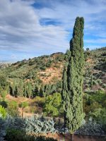 Fahrt zur Lassithi-Hochebene...