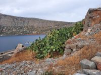 Insel Spinalonga