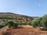 Spaziergang im Hinterland von Hersonissos...