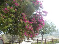 DSCN5818.JPG    Blick zur Ausgrabung