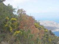 DSCN5839.JPG    Landschaft