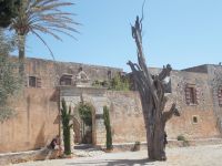 DSCN5883.JPG      Baum mit Granatsplitter