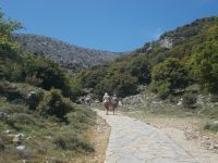 DSCN5931.JPG    unterwegs zur Zeushöhle