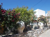 DSCN5947.JPG    Blütenpracht