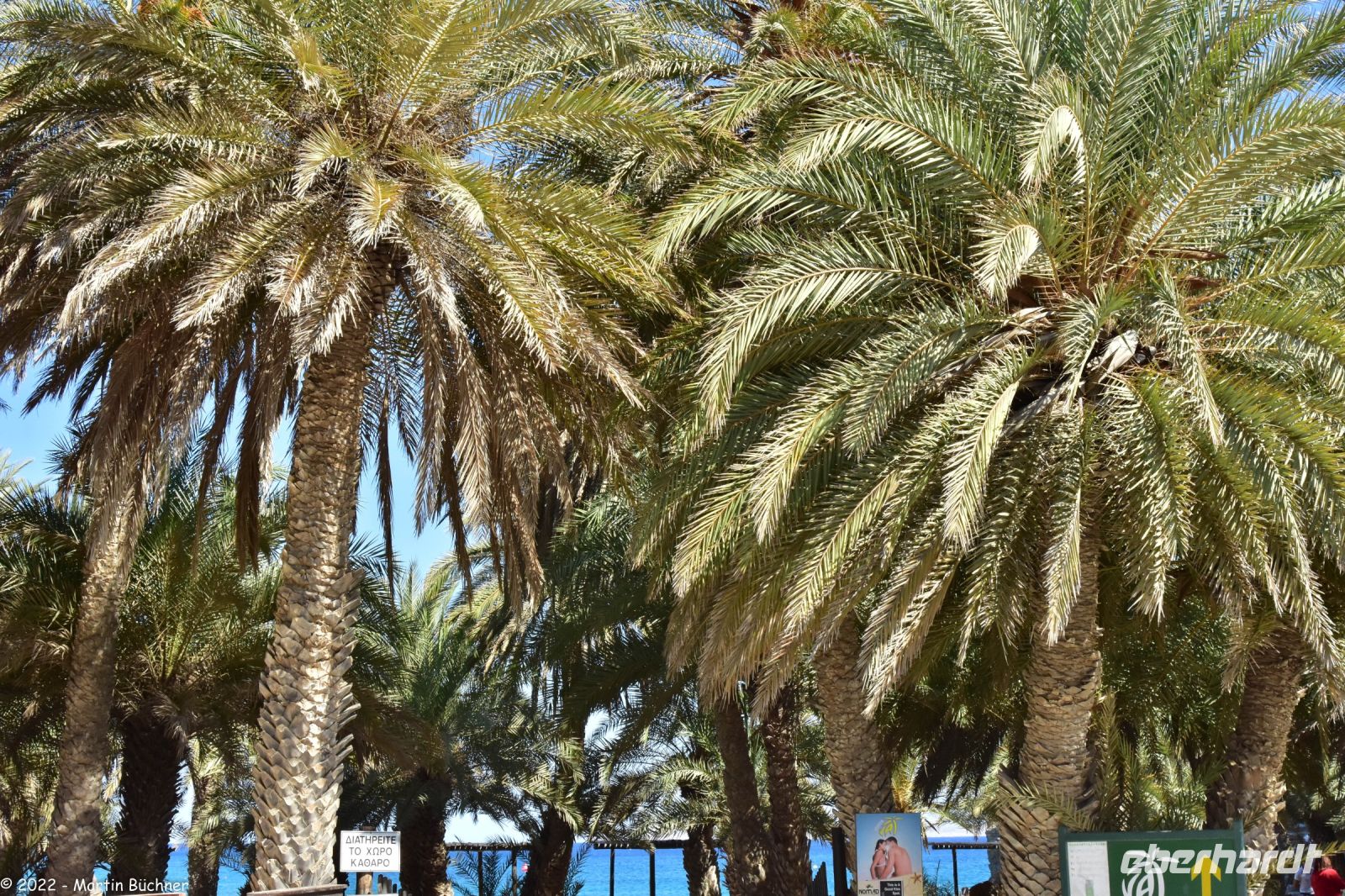 Palmenstrand von Vai